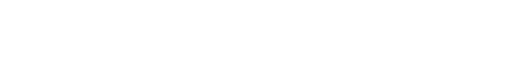 Zeiverse Footer Logo